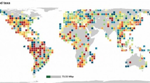 Global genetic diversity mapped by new study