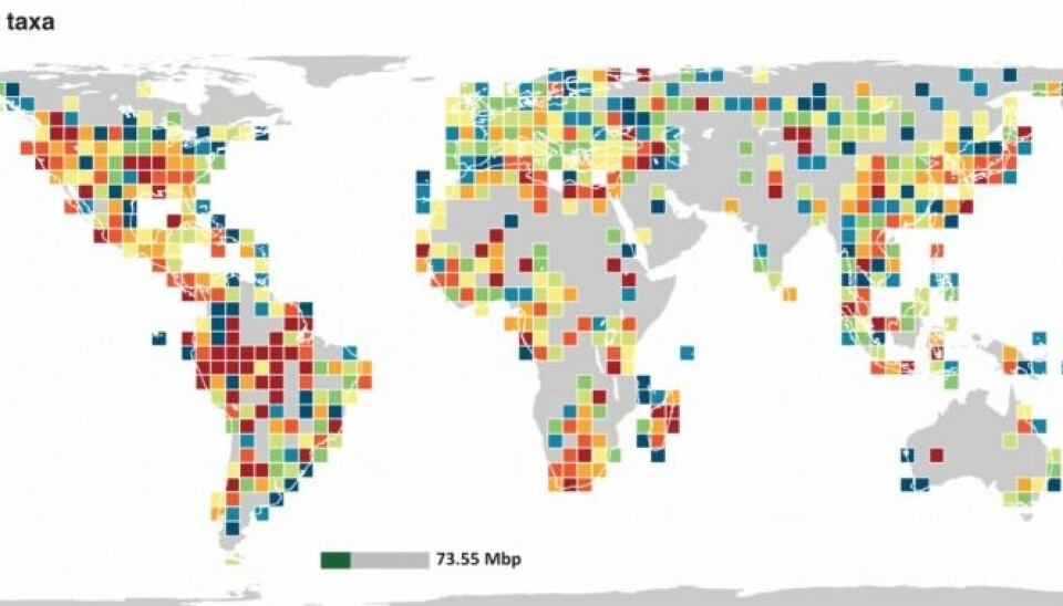 Global map of amphibian and land based mammalian genetic diversity. Red shading indicates high diversity, and blue shows low diversity. (Graphic: Science/Miraldo et al.)