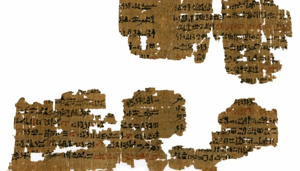 Spells and lizard dung were part of the medical treatment in ancient Egypt, as evidenced by this 3,500-year-old papyrus. (Photo: Mikkel Andreas Beck).
