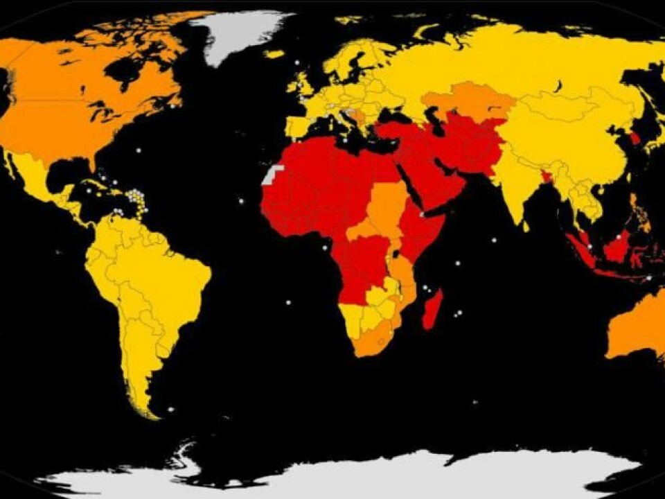 Percentages of male populations being circumcised in different parts of the world. Red is more than 80 per cent, orange is 20 to 80 per cent, and yellow indicates less than 20 per cent. Source: WHO (2007). (Illustation: AHC300)