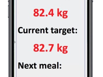 The diet will soon be available as an app. Stoustrup is signing up interested people to beta-test the app. (Photo:Jakob Stoustrup) The diet will soon be available as an app. Stoustrup is signing up interested people to beta-test the app. (Photo:Jakob Stoustrup)