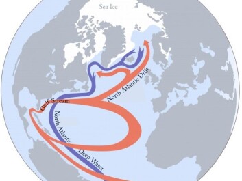 The AMOC describes the circulation of fresh and salty water in the North Atlantic. Relatively warm surface waters from the equator (red) mix with cold, salty water from the north and sink to the ocean floor (blue). This conveyor belt of ocean water maintains the delivery of warm water and weather to the northeast USA and northwest Europe. (Illustration: S. Rahmstorf (Nature 1997), Creative Commons BY-SA 4.0.) The AMOC describes the circulation of fresh and salty water in the North Atlantic. Relatively warm surface waters from the equator (red) mix with cold, salty water from the north and sink to the ocean floor (blue). This conveyor belt of ocean water maintains the delivery of warm water and weather to the northeast USA and northwest Europe. (Illustration: S. Rahmstorf (Nature 1997), Creative Commons BY-SA 4.0.)