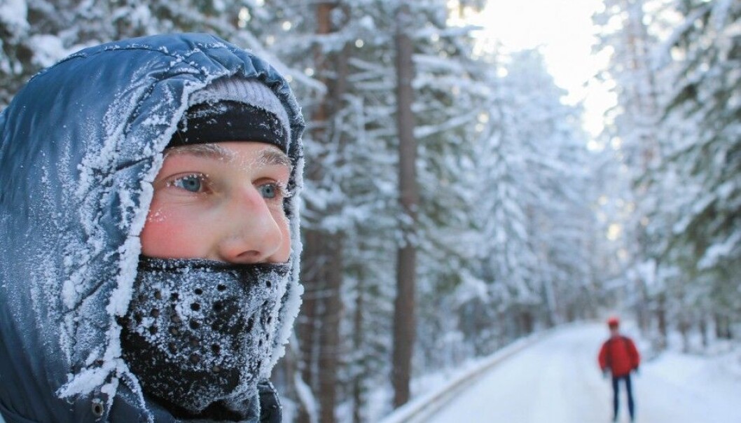 Swedish researchers confirm that frigid weather gets followed by an outbreak of flu. (Photo: Olesia Babushkina / Shutterstock / NTB scanpix) Swedish researchers confirm that frigid weather gets followed by an outbreak of flu. (Photo: Olesia Babushkina / Shutterstock / NTB scanpix)