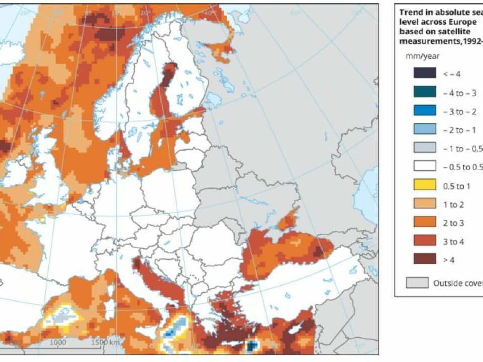 See how much the sea level is rising where you live. (Illustration: European Environment Agency, data from Copernicus Marine Environment Monitoring Service)