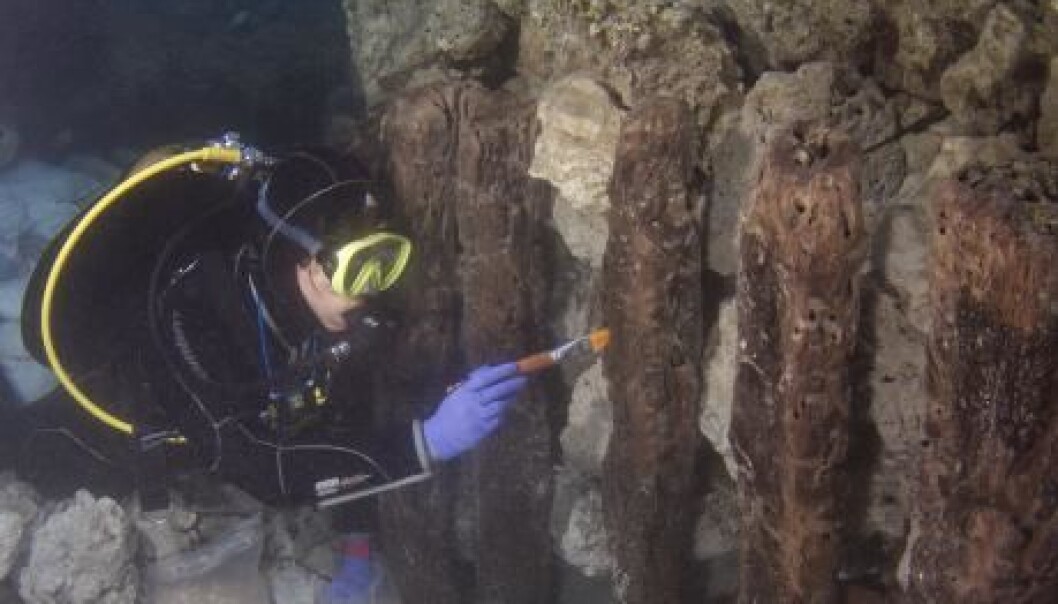 Conservator Angeliki Zisi carefully cleans and conducts a condition assessment of the bulwark’s wooden posts. (Photo: Lechaion Harbour Project 2015/ Vassilis Tsiairis) Conservator Angeliki Zisi carefully cleans and conducts a condition assessment of the bulwark’s wooden posts. (Photo: Lechaion Harbour Project 2015/ Vassilis Tsiairis)
