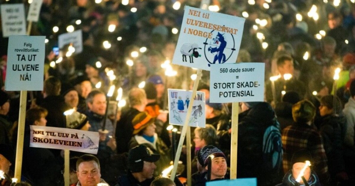 Why people protest against wolves