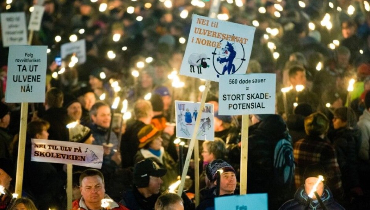 Save Wolves Protest Why people protest against wolves