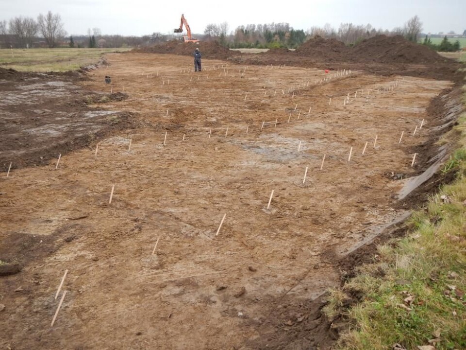 The archaeologists have not yet found traces of structures that can suggest what the site was used for. So far they have found flint tools, waste, and ceramics. (Photo: Pernille Rohde Sloth)