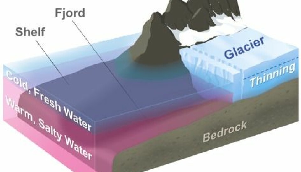Warm salty Atlantic water flows underneath the cooler, fresh Polar melt water at the surface. Newly discovered deep trenches allow the deep warm water to reach the front of the glacier and melt them from underneath. (Illustration: NASA JPL / OMG)