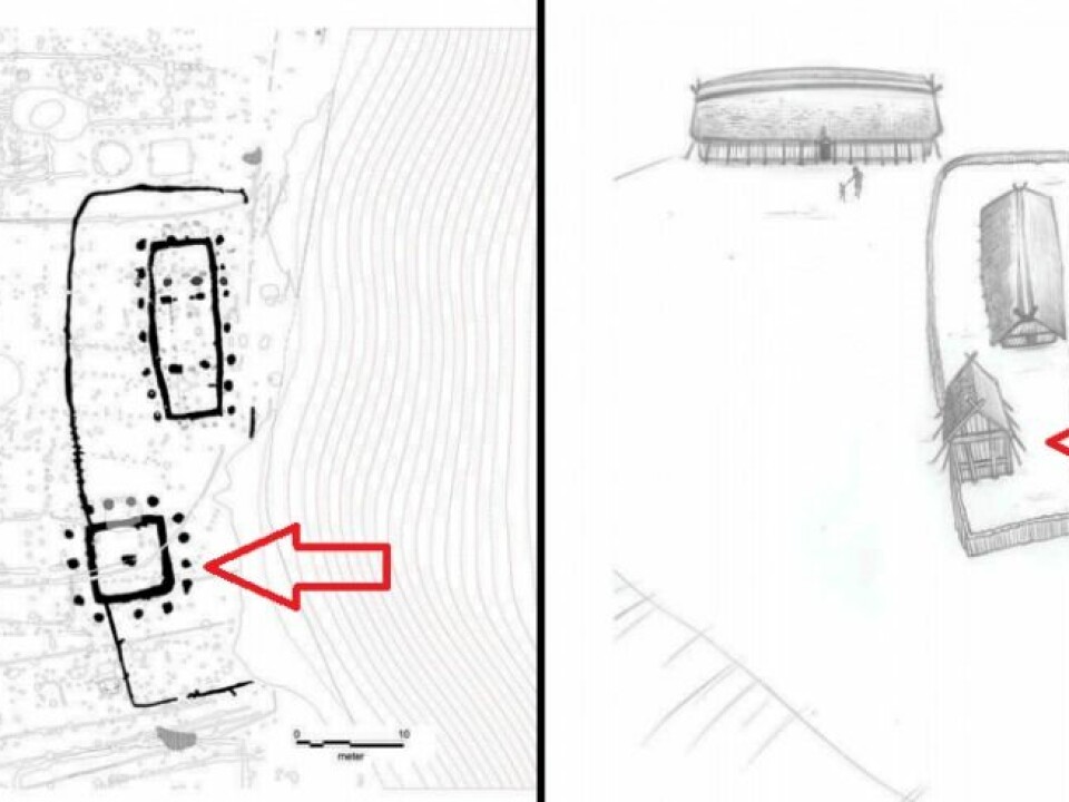The tower area with fenced ceremonial house and a north-south facing house. The tower is indicated by the red arrows. (Illustration: Tom Lock)