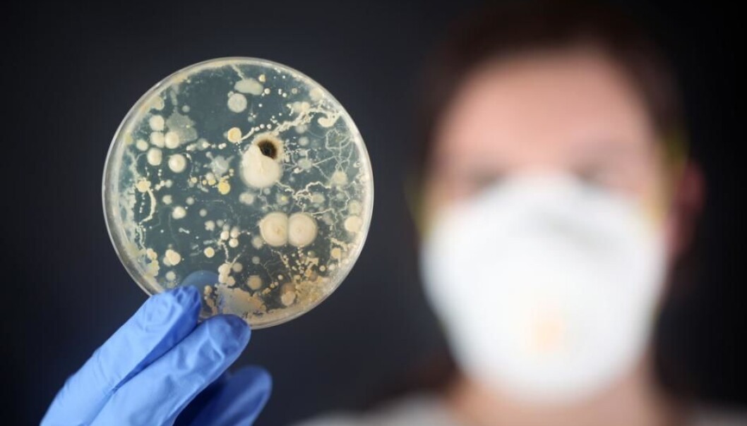 Scientists will reveal the bacterial composition of our waste water. (Photo: Shutterstock.com) Scientists will reveal the bacterial composition of our waste water. (Photo: Shutterstock.com)