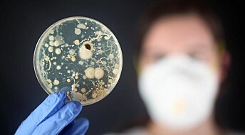 Scientists fling bacteria’s “black box” wide open