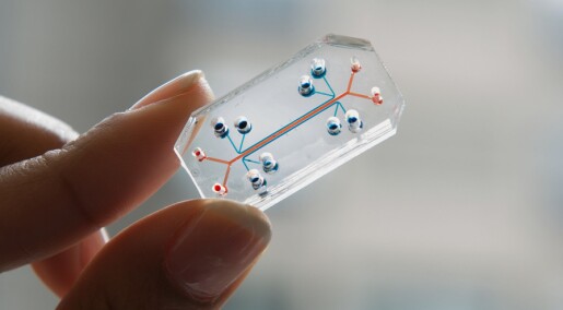 Human organs-on-chips may one day replace animal testing