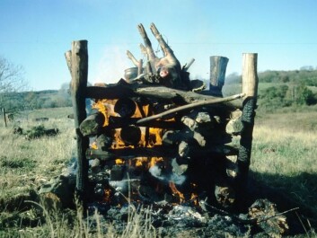 Archaeologist Mogens Bo Henriksen has experimented with burning pig carcasses to investigate ancient cremations. (Photo: Mogens Bo Henriksen)
Archaeologist Mogens Bo Henriksen has experimented with burning pig carcasses to investigate ancient cremations. (Photo: Mogens Bo Henriksen)