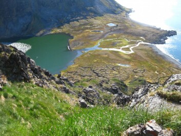The Annikitsoq area where the little auks nest is rich in nutrients compared with the rest of the country. (Photo: Thomas Alexander Davidson) The Annikitsoq area where the little auks nest is rich in nutrients compared with the rest of the country. (Photo: Thomas Alexander Davidson)