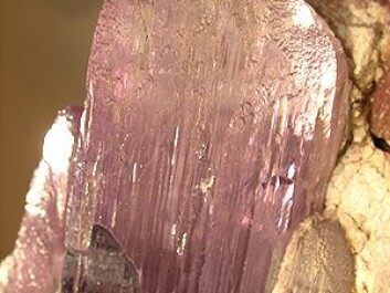 Spodumene is a pyroxene mineral, consisting of lithium, aluminium and inosilicate, and is a source of lithium (Photo: Wiki Commons) Spodumene is a pyroxene mineral, consisting of lithium, aluminium and inosilicate, and is a source of lithium (Photo: Wiki Commons)