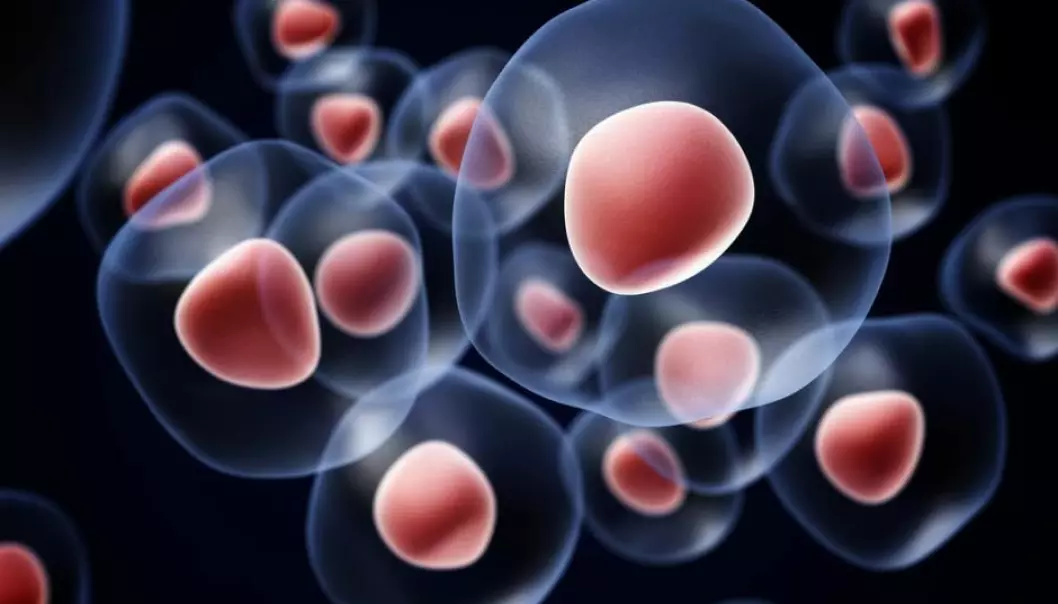 Many scientists see stem cells as the key to treating a whole range of diseases, where specific cell types are damaged. But there are still many questions to answer before the stem cell revolution truly takes off. (Photo: Shutterstock)