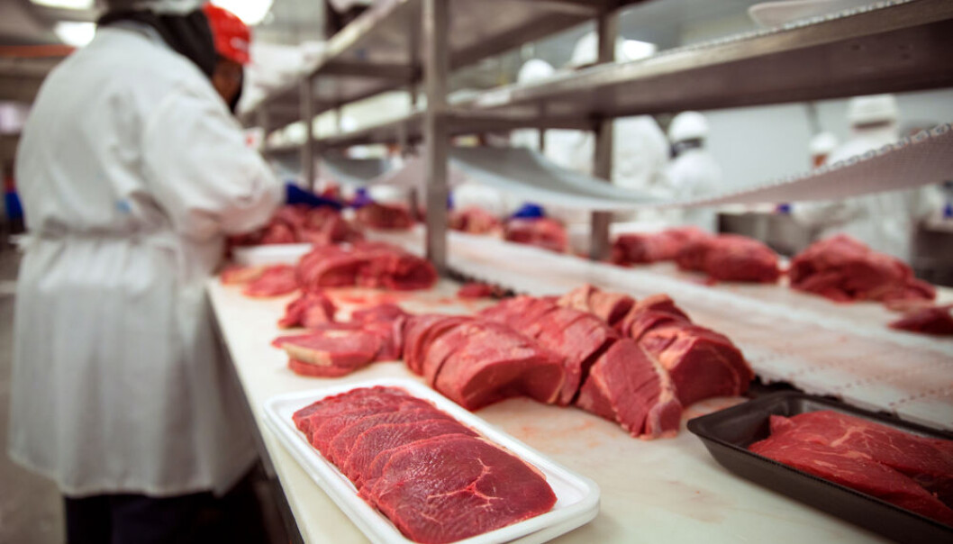 Scientists are developing novel ways to kill pathogens in food. (Photo: Shutterstock) Scientists are developing novel ways to kill pathogens in food. (Photo: Shutterstock)