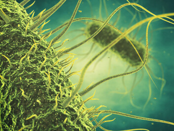 Scientists are harnessing the power of a group of viruses known as bacteriophages to combat some of the most prevalent food-borne pathogens, such as salmonella. (Photo: Shutterstock) Scientists are harnessing the power of a group of viruses known as bacteriophages to combat some of the most prevalent food-borne pathogens, such as salmonella. (Photo: Shutterstock)
