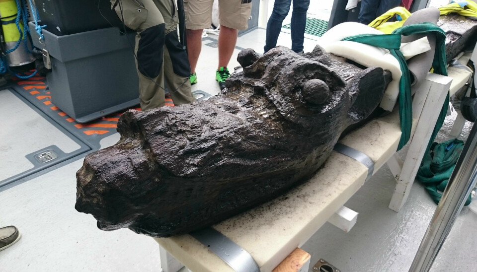 The wooden monster was brought to the Danish National Museum in 2016, where archaeologists and conservationists analysed the wood for traces of paint. (Photo: Johan Rönnby, Södertörn University)