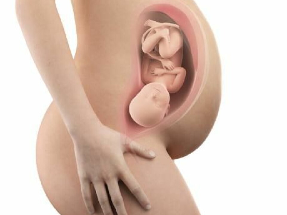 There is already a difference between boys and girls at the foetal stage. Boys take longer to grow and require more energy from the mother, whereas girls allow the placenta to grow. (Photo: Shutterstock).
