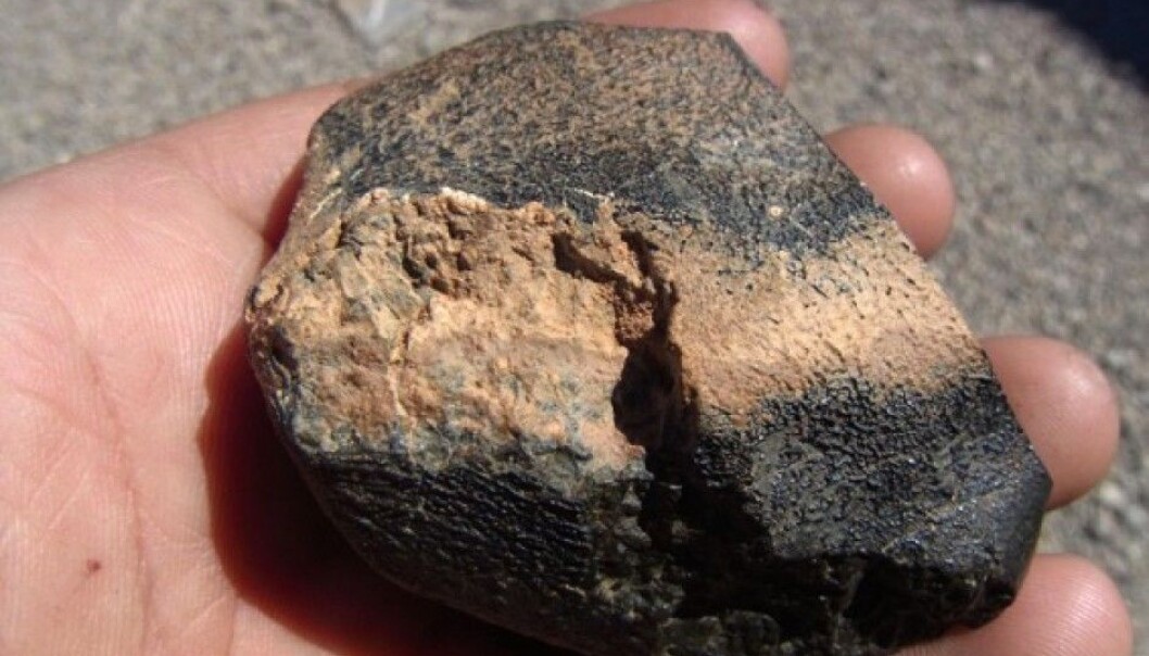 This small stone found in Algeria came all the way from a volcano on Mars. (Photo: Mohammed Hmani) This small stone found in Algeria came all the way from a volcano on Mars. (Photo: Mohammed Hmani)