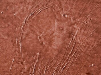 Scientists do not know precisely which volcano the meteorite came from. A possible contender is the large Alba Mons volcano, which is about as large as the entire United States. (Photo: JMARS / Arizona State University) Scientists do not know precisely which volcano the meteorite came from. A possible contender is the large Alba Mons volcano, which is about as large as the entire United States. (Photo: JMARS / Arizona State University)