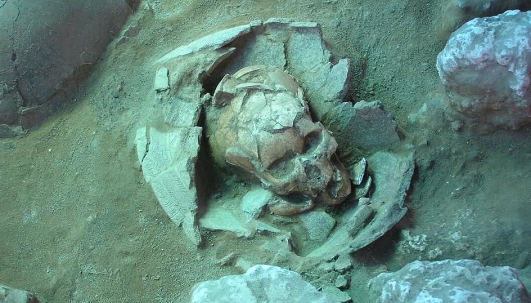 The 3,000-year-old skull preserved in a jar is characteristic of agriculturalist Lapita culture. DNA from the skull has now identified the original sailors who conquered the Pacific. (Photo: Frederique Valentin) The 3,000-year-old skull preserved in a jar is characteristic of agriculturalist Lapita culture. DNA from the skull has now identified the original sailors who conquered the Pacific. (Photo: Frederique Valentin)