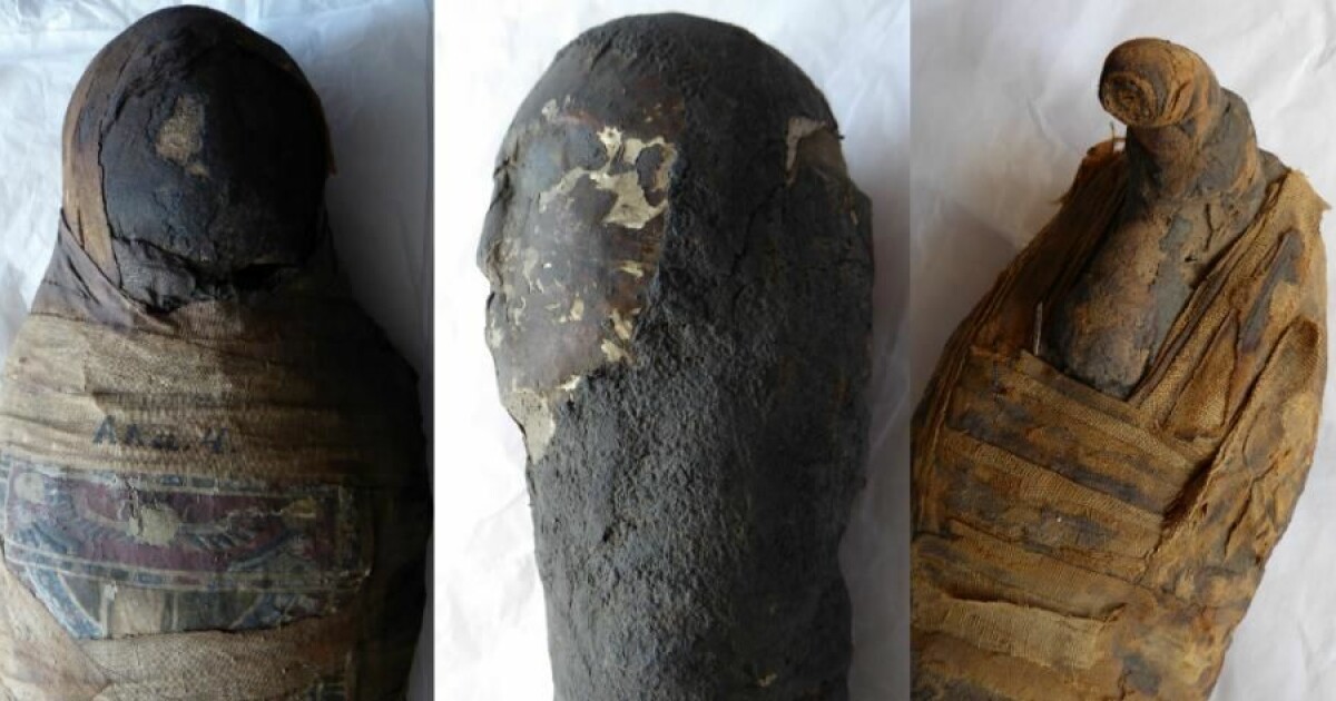 See Inside Three Egyptian Mummies