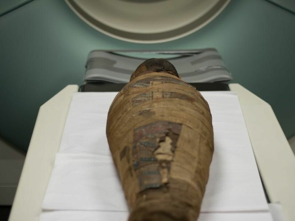 The child mummy has been patched up at least once. The beige fabric strips overlaying the mummy are not Egyptian and were not part of the original mummy. (Photo: Kirstine Jacobsen / ScienceNordic)