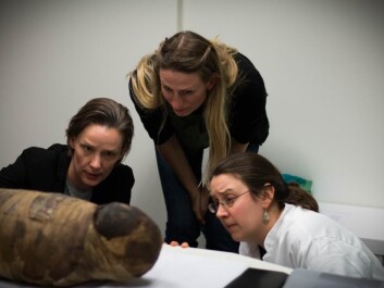 Three of the scientists study the exposed cranium on the side of the child mummy. (Photo: Kirstine Jacobsen / ScienceNordic) Three of the scientists study the exposed cranium on the side of the child mummy. (Photo: Kirstine Jacobsen / ScienceNordic)