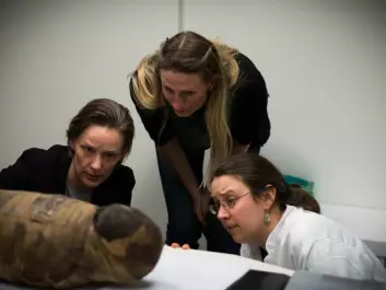 Three of the scientists study the exposed cranium on the side of the child mummy. (Photo: Kirstine Jacobsen / ScienceNordic)