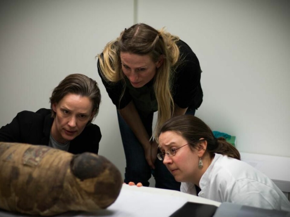 Three of the scientists study the exposed cranium on the side of the child mummy. (Photo: Kirstine Jacobsen / ScienceNordic)