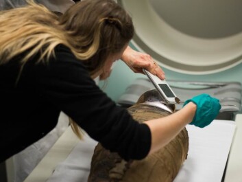 Postdoc Marie Louise Jørkov looks into the child’s skull through the eye socket. Unfortunately, she could not see anything as it had been blocked by resin used when the mummy was made. (Photo: Kirstine Jacobsen / ScienceNordic) Postdoc Marie Louise Jørkov looks into the child’s skull through the eye socket. Unfortunately, she could not see anything as it had been blocked by resin used when the mummy was made. (Photo: Kirstine Jacobsen / ScienceNordic)
