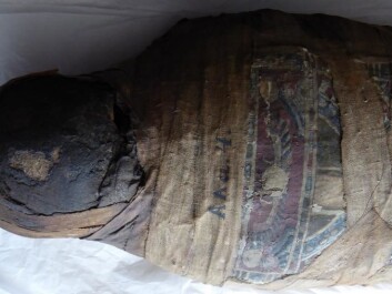 Traditionally, the deceased’s name would be inscribed on the strip in the centre of the decorations on the mummy’s chest. But that was not the case here. (Photo: Kirstine Jacobsen / ScienceNordic) Traditionally, the deceased’s name would be inscribed on the strip in the centre of the decorations on the mummy’s chest. But that was not the case here. (Photo: Kirstine Jacobsen / ScienceNordic)