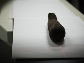 The “new-born” mummy never contained a child. It was probably made for tourists to take home as souvenirs. (Photo: Kirstine Jacobsen / ScienceNordic) The “new-born” mummy never contained a child. It was probably made for tourists to take home as souvenirs. (Photo: Kirstine Jacobsen / ScienceNordic)