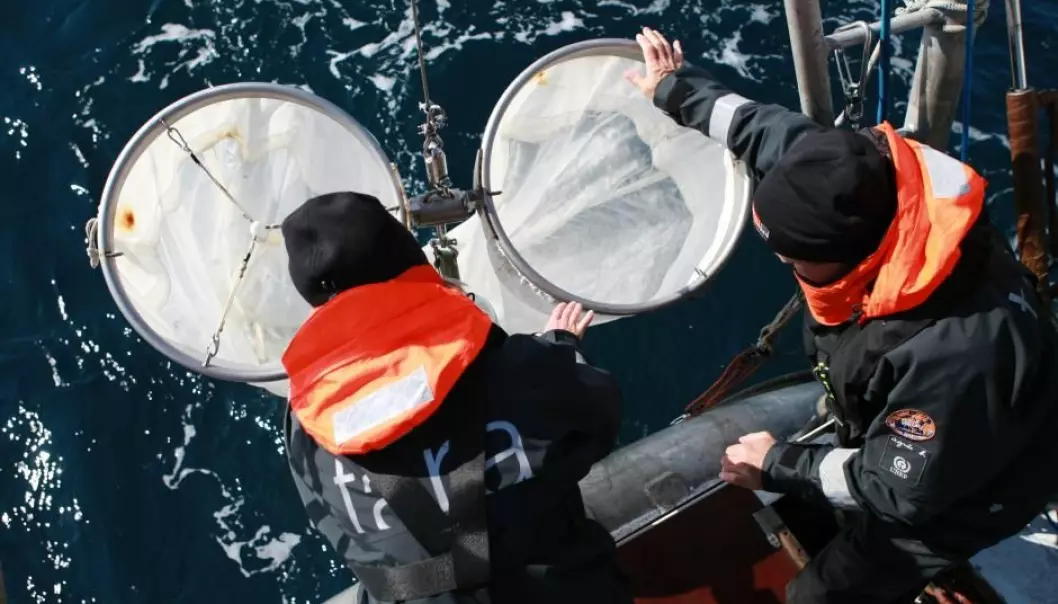 Scientists collect plankton and microplastics in the Arctic during the TARA-expedition (Photo: Anna Deniaud/ Tara Expeditions Foundation)