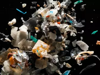 Scientists estimate that the Greenland Sea and the Barents Sea contain between 100 and 1,200 tons of plastic. (Photo: <a href="http://www.chesapeakebay.net/blog/post/photo_essay_microplastics_in_the_chesapeake_bay" target="blank_">Chesapeake Bay</a>)  