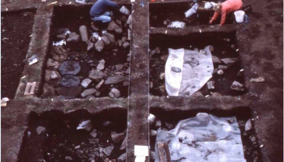 Archaeologists excavate “Area C”, a dwelling area. (Photo: Bjarne Grønnow)