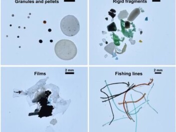 Examples of the types of plastic found in the Arctic Ocean. Most of the samples were comprised of rigid fragments, but they also found plastic film used to wrap goods and food, fishing line, foam used to pack goods for transport (not shown), and granules from cosmetics. (Photo: Andres Cozar) Examples of the types of plastic found in the Arctic Ocean. Most of the samples were comprised of rigid fragments, but they also found plastic film used to wrap goods and food, fishing line, foam used to pack goods for transport (not shown), and granules from cosmetics. (Photo: Andres Cozar)