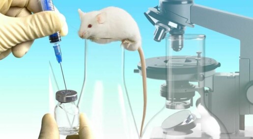 New technique cures deadly bladder cancer in mice