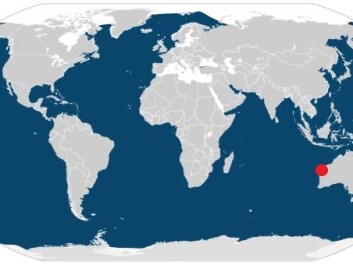 Humpback whales are found all over the world (blue shading). The new study was conducted in Exmouth Gulf, Western Australia, shown here by a red dot. (Map: IUCN / Videnskab.dk) Humpback whales are found all over the world (blue shading). The new study was conducted in Exmouth Gulf, Western Australia, shown here by a red dot. (Map: IUCN / Videnskab.dk)