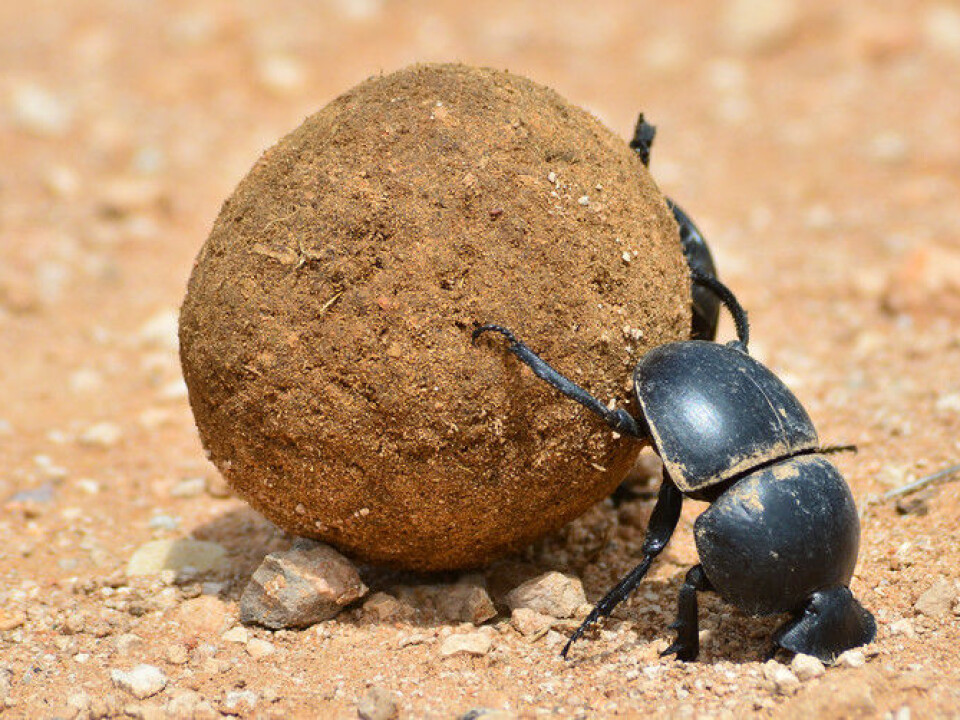 Where am I supposed to take this thing? (Photo: Shutterstock)