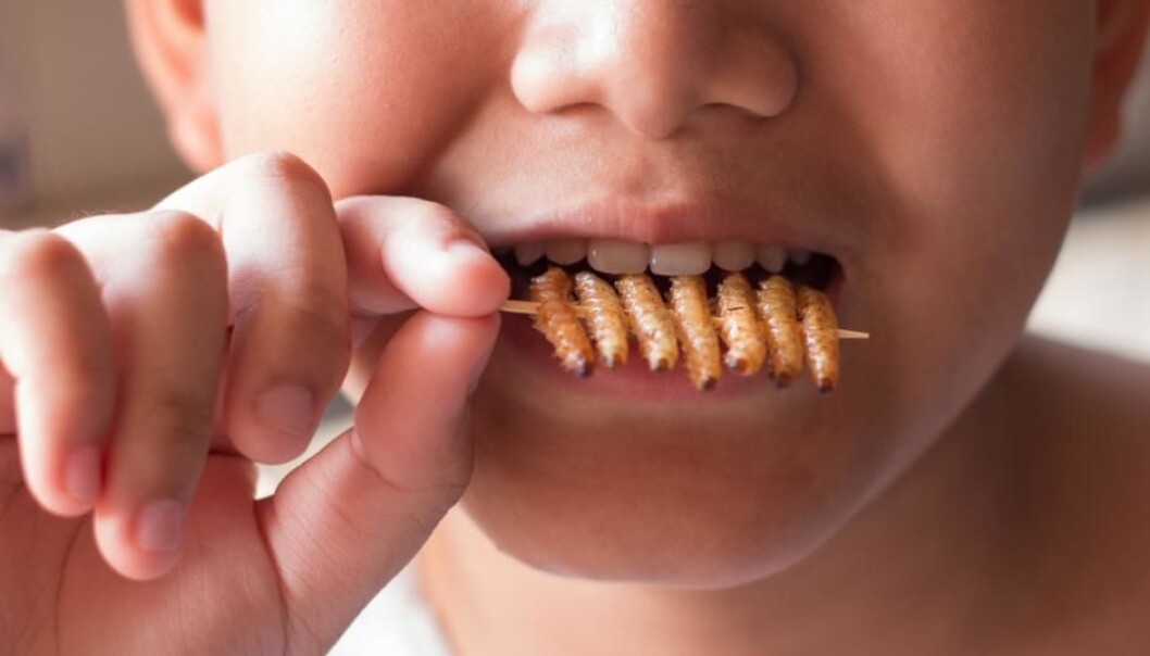 If you want to do something good for the environment, it could be time to get used to eating insects. Insect farming is far less polluting than most other types of livestock production, shows a new study. (Photo: Shutterstock) If you want to do something good for the environment, it could be time to get used to eating insects. Insect farming is far less polluting than most other types of livestock production, shows a new study. (Photo: Shutterstock)