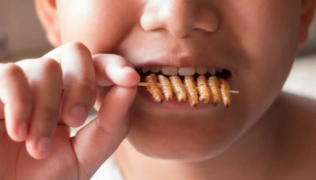 If you want to do something good for the environment, it could be time to get used to eating insects. Insect farming is far less polluting than most other types of livestock production, shows a new study. (Photo: Shutterstock)