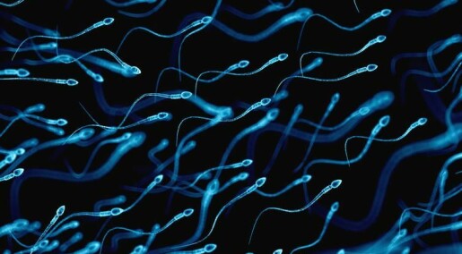 Infertility in men could point to more serious health problems later in life