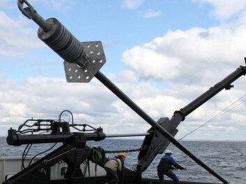 Ten metre-long cores were collected from the bottom of the sea using a so-called gravitational corer in Aarhus Bay, Denmark. The lowest layers were deposited at the end of the last ice age, 10,000 years ago. (Photo: Nils Risgaard-Petersen) Ten metre-long cores were collected from the bottom of the sea using a so-called gravitational corer in Aarhus Bay, Denmark. The lowest layers were deposited at the end of the last ice age, 10,000 years ago. (Photo: Nils Risgaard-Petersen)