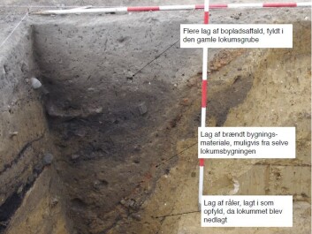 Is this Denmark’s oldest toilet? Here you can see the various preserved layers. The lowest dark layer is human waste. (Photo and illustration: Anna S Beck) Is this Denmark’s oldest toilet? Here you can see the various preserved layers. The lowest dark layer is human waste. (Photo and illustration: Anna S Beck)