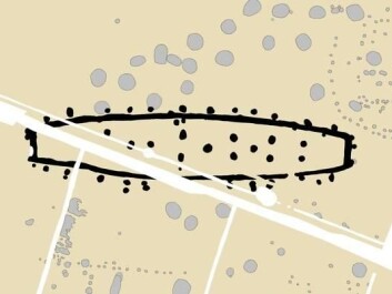 The central part of the Toftegård settlement consists of five large halls (approximately 10 by 34 to 40 metres). The halls existed at different times and represent five phases of the same nobleman’s residence. (Excavation plan: Museum Southeast Denmark) The central part of the Toftegård settlement consists of five large halls (approximately 10 by 34 to 40 metres). The halls existed at different times and represent five phases of the same nobleman’s residence. (Excavation plan: Museum Southeast Denmark)