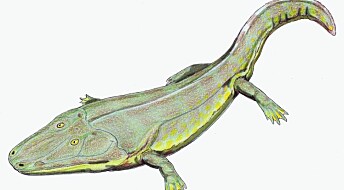 Extinct species of giant amphibians discovered in Greenland